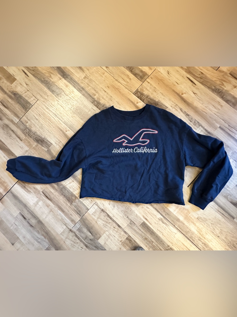 Hollister Navy Cropped Logo Sweatshirt with Pink/Red Outline